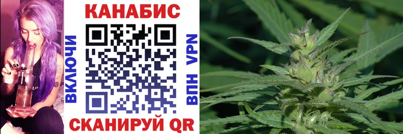 Конопля Bruce Banner  наркошоп  Амурск 